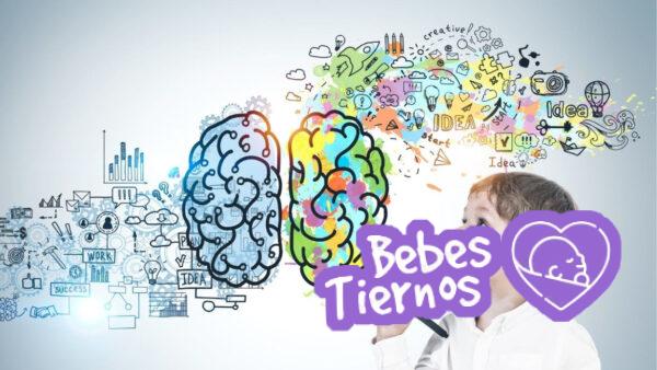 etapas del desarrollo cognitivo